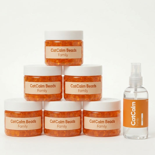 CatCalm Family - Christmas Special